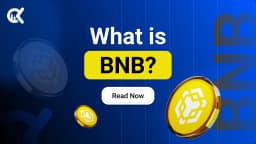 What is BNB? The Ultimate Guide to BNB Chain, BEP20, & opBNB