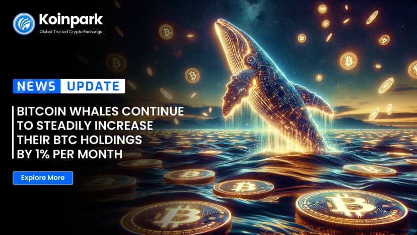 Bitcoin whales continue to steadily increase their BTC holdings by 1% per month