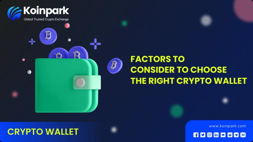 Factors to Consider to Choose the Right Crypto Wallet