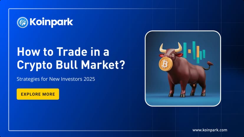 How to Trade in a Crypto Bull Market? Strategies for New Investors 2025